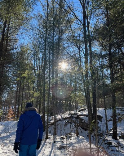 Beautiful Nature Walks